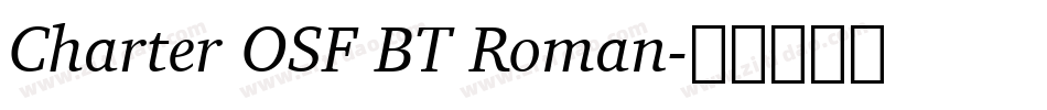 Charter OSF BT Roman字体转换